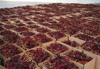Factory and facilities of ZIBO DAOHE INTERNATIONAL TRADING CO., LTD