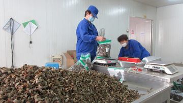Factory facility photo 4