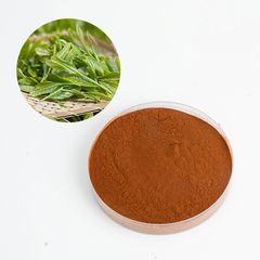 Factory and facilities of Runqian Pharmaceutical (Jinan) Co., Ltd.
