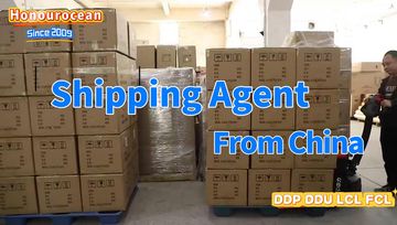 Factory and facilities of Shenzhen Honour Ocean Shipping Co., Ltd.