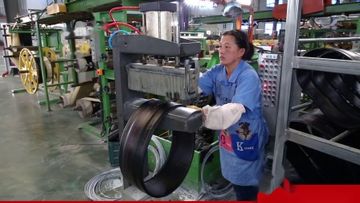 Factory and facilities of Qingdao Oguan Rubber Products Co., Ltd.