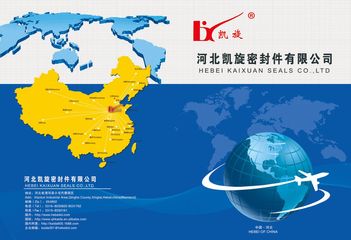 Factory and facilities of Hebei Kaixuan Co., Ltd.