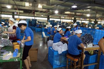 Factory facility photo 5