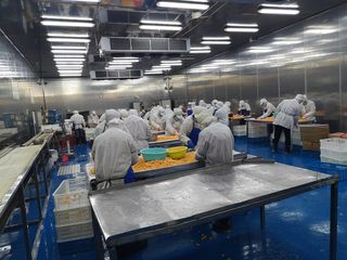 Factory and facilities of QINGDAO ALLIANCE FOOD CORP.