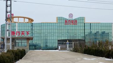 Factory and facilities of Qingdao Oriental Shimao Import and Export Co., Ltd.