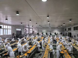 Factory facility photo 4