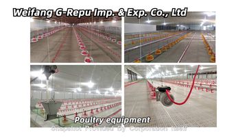 Factory and facilities of Weifang G-Repu Imp. &amp; Exp. Co., Ltd.