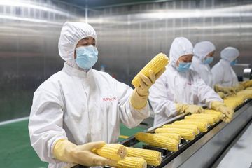 Factory facility photo 3