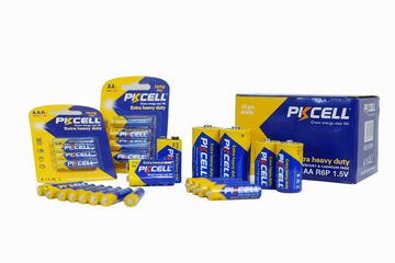 Factory and facilities of Shenzhen Pkcell Battery Co., Ltd