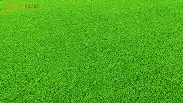 Factory and facilities of Xinxu New Materials Co., Ltd.