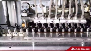 Factory and facilities of Microcell International Battery Co., Ltd.
