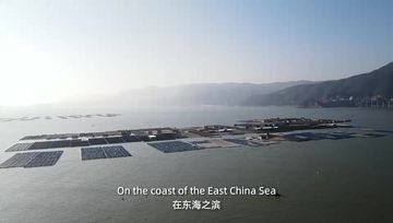 Factory and facilities of Fuzhou Beautiful Agricultural Development Co., Ltd.