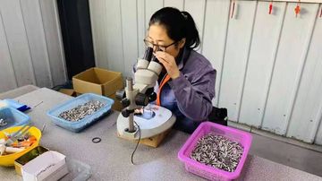 Factory facility photo 3