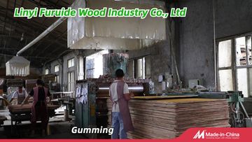 Factory and facilities of Linyi Furuide Wood Industry Co., Ltd.