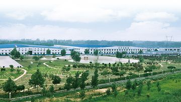Factory and facilities of Hefei Dongfang Qifu Carpet Co., Ltd.