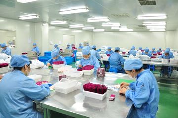 Factory facility photo 2