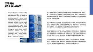 Factory and facilities of Hubei Changfu Chemical Co., Ltd.