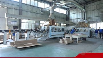 Factory and facilities of Deqing Deke Wood Industry Co., Ltd.