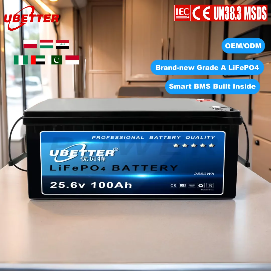LiFePO4 Battery Pack for RVs Golf Carts Boats with Bluetooth BMS, 12V 24V 50Ah to 200Ah