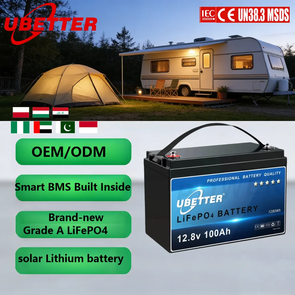 LiFePO4 Deep Cycle Battery Pack with BMS for Off Grid Energy Storage, 12.8V 25.6V 24V, 50Ah to 300Ah
