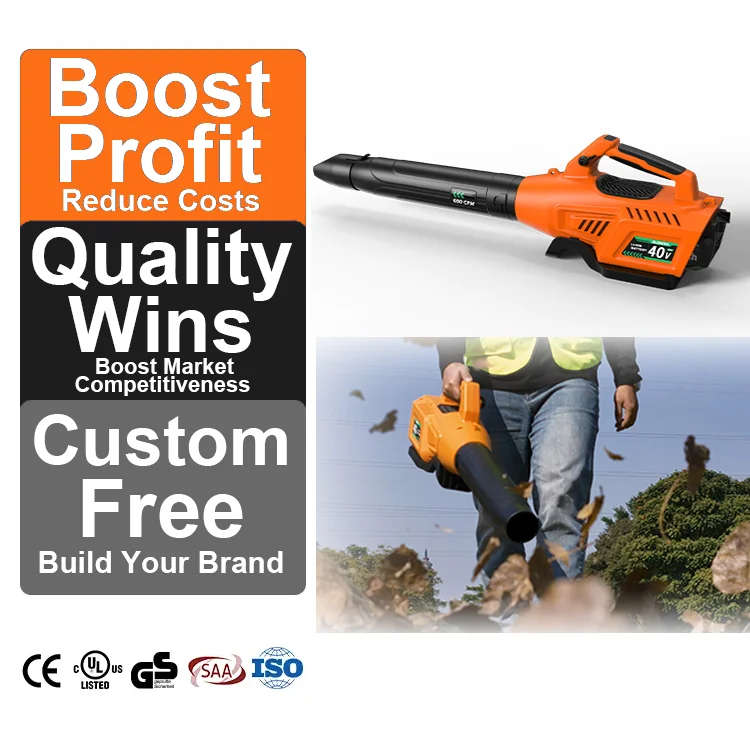 Aobaite 40V Cordless 3-in-1 Blower for Snow, Car Drying and Leaves with 680CFM Airflow