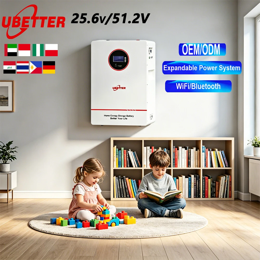 51.2V 24V 48V LiFePO4 Solar Battery 100Ah 200Ah 280Ah 314Ah for Home Solar Energy Systems