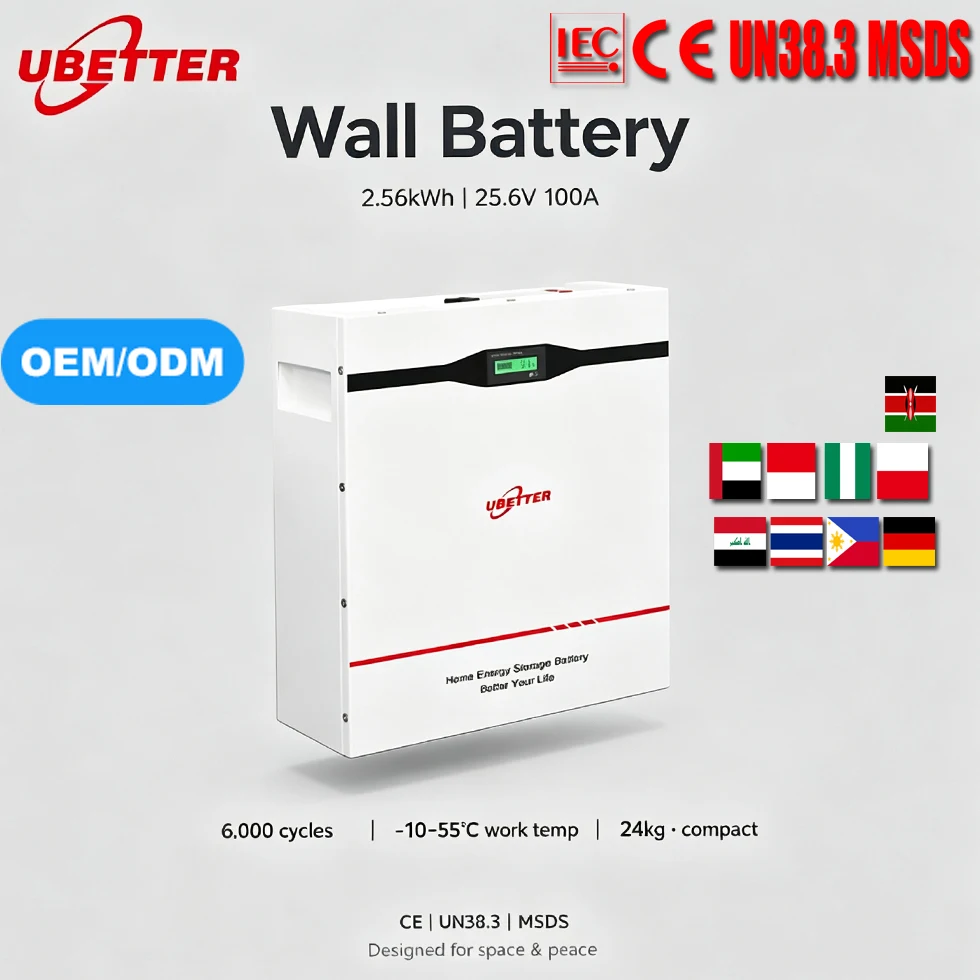 Wall Mounted Lithium 24V 100Ah 200Ah 2.5kWh 5kWh 3kW LiFePO4 Solar Offgrid Hybrid Inverter with CAN Communication