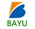 Dongguan Baiyou Electronic Co. Ltd