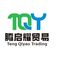 Qingdao Tengqiyao Trading Co., Ltd.