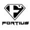 Jinan Fortius International Trading Co., Ltd.