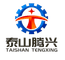 Shandong Tengxing New Energy Technology Co., Ltd