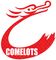 Dongguan Bright Sea Industrial Co., Ltd.