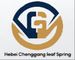 Hebei Chenggang Metal Products Co., Ltd.