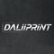 Guangzhou Deliyin Digital Technology Co., Ltd.