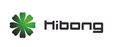 Qingdao Hibong Industrial Technology Co., Ltd.