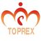 Shenzhen Toprex Festival Decoration Co., Ltd.