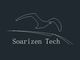 Bengbu Soarizon Electronic Technology Co., Ltd.