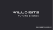 Shijiazhuang Willdigits Technology Co., Ltd