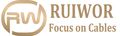 Nanchang Ruiwor Technology Co., Ltd.