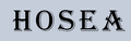 Taizhou Haosai Special Alloy Co., Ltd.