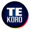 Zhongshan Tekoro Car Care Industry Co., Ltd.