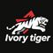 Ivory Tiger Technology (Shenzhen) Co., Ltd.