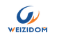 Lianyungang Weizidom Meter Technology Co., Ltd.