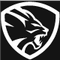 Deesen Machine Tool (Shandong) Co., Ltd.