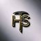 Huisheng Metal Products Luannan Co., Ltd.