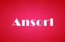 Shenzhen Ansorl Technology Co., Ltd.