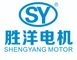 Zhongshan Shengyang Motor Co., Ltd.