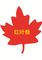Shandong GOLD Hongye NET Co., Ltd.
