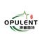 Wuxi Opulent Led Lighting Technology Co., Ltd