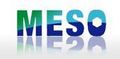 Beijing Mesochem Technology Co., Ltd.